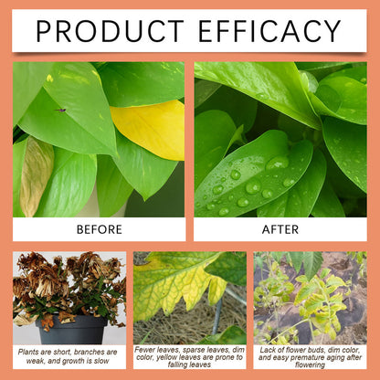 Liquid Rooting Hormone